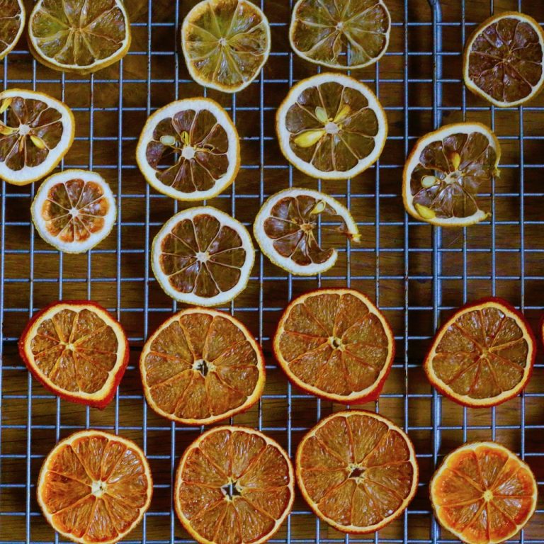 Dried citrus wheels – The Nosey Chef